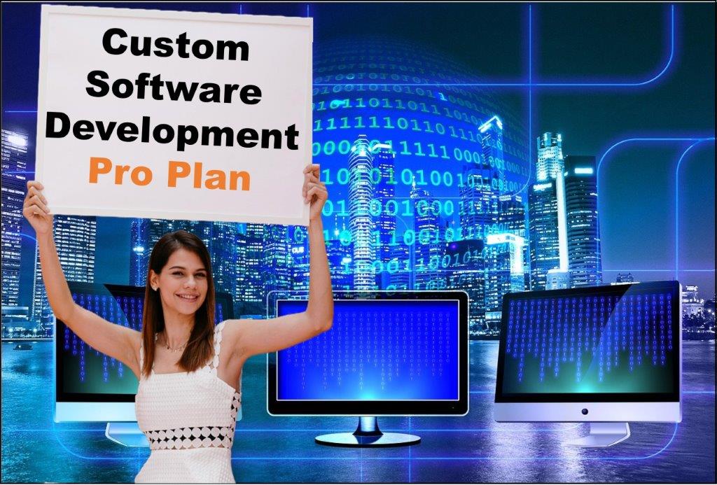 custom software development agency in Austin Texas