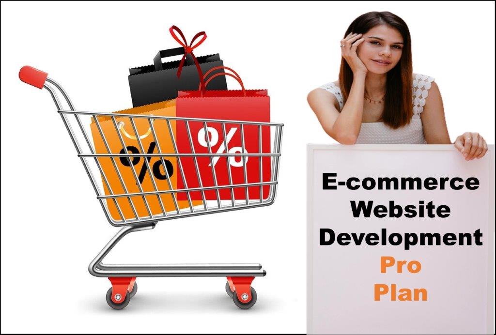 professional ecommerce website development agency in Austin Texas