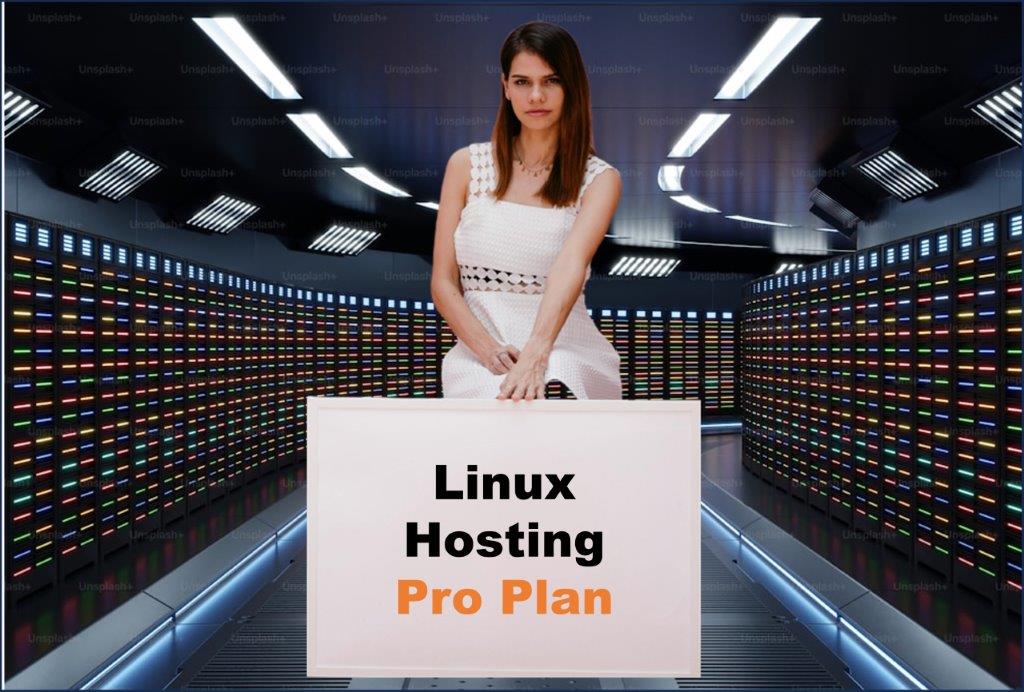 linux hosting windows hosting provider in Austin Texas