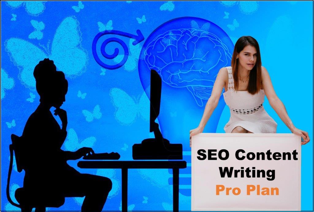 seo content writing agency Austin Texas