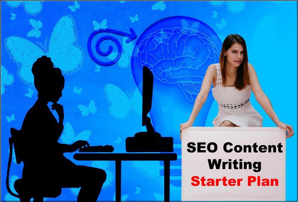 seo content writing service provider in Austin Texas