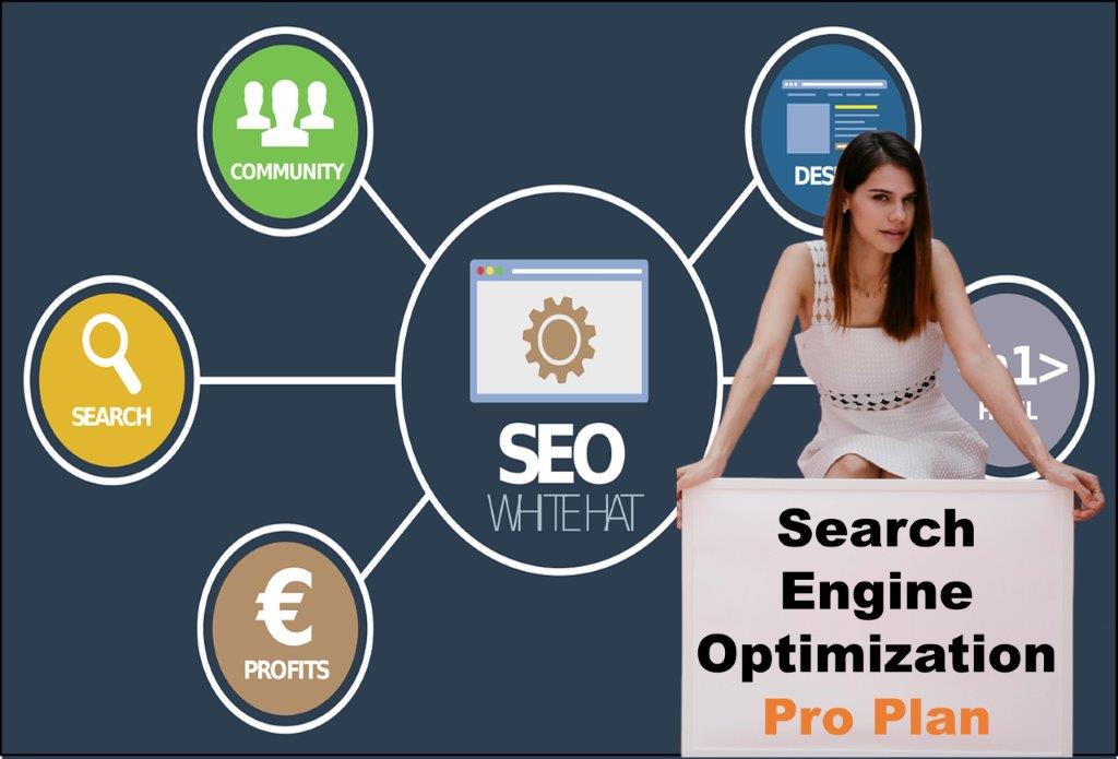 seo company Austin Texas