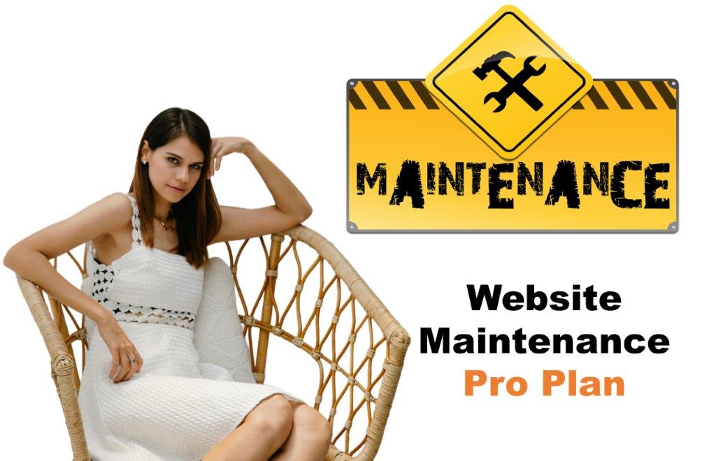 website maintenance agency in Austin Texas