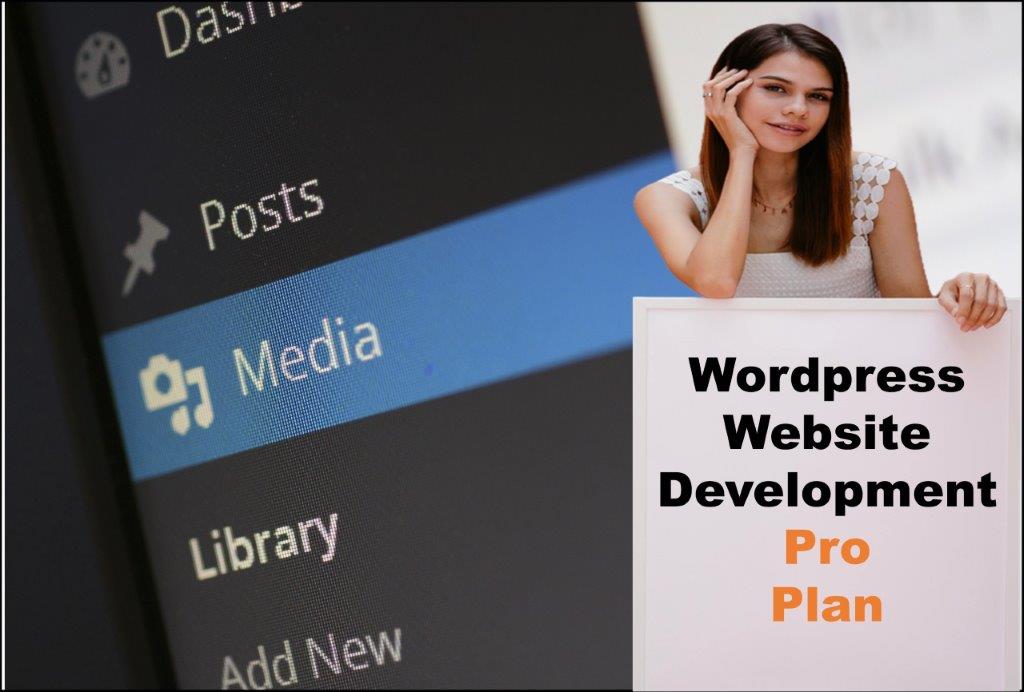 wordpress website designing in Austin Texas