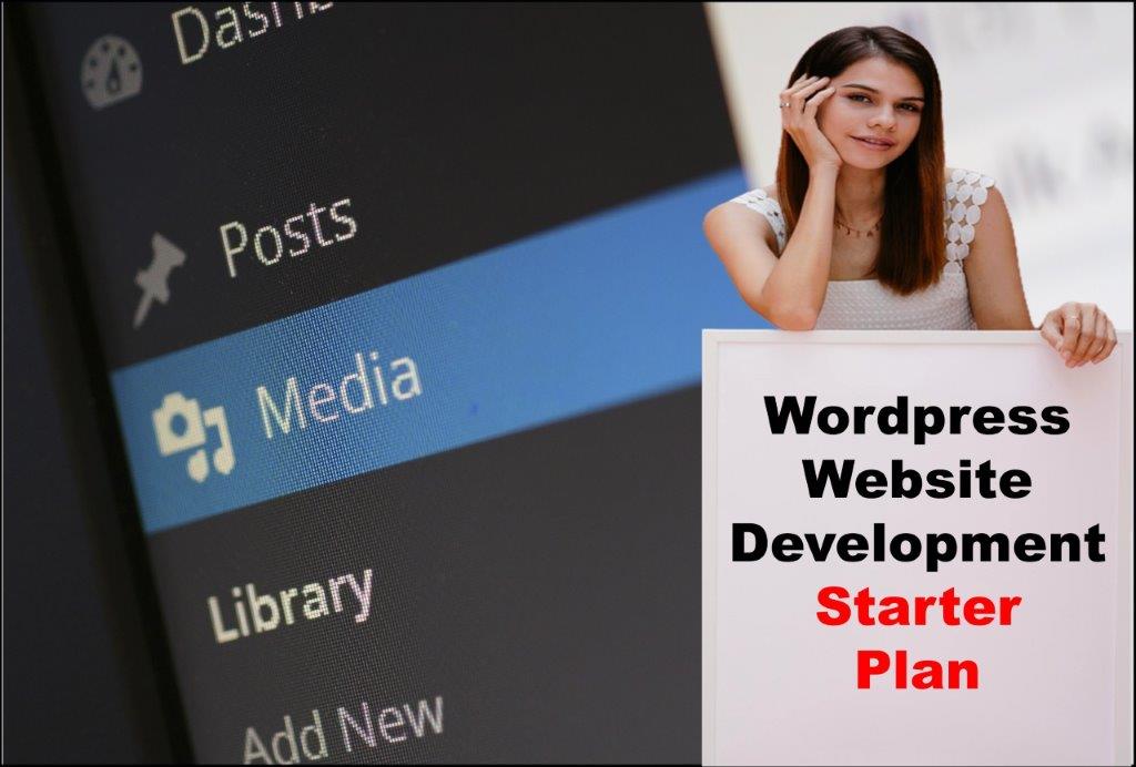 Wordpress Website Development in Austin Texas